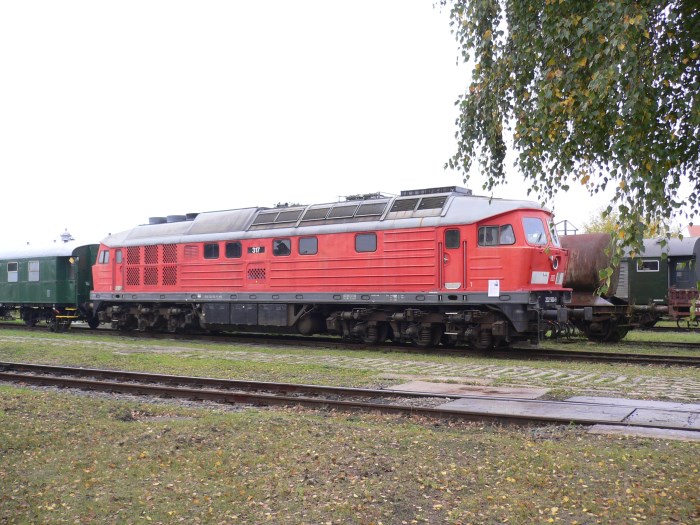 Großes Foto